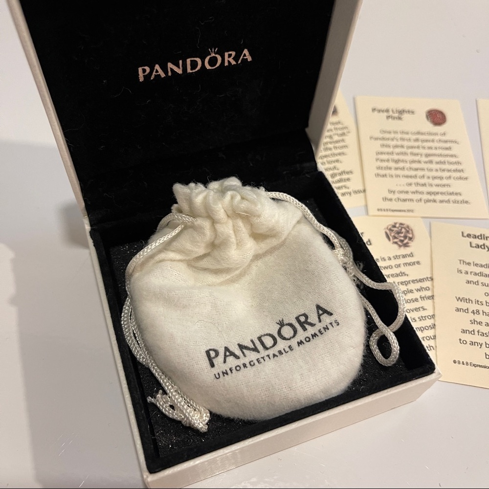 Silver Pandora Bracelet with 13 Charms - Picture 9 of 12